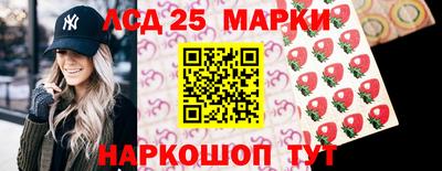 мдпв Сланцы