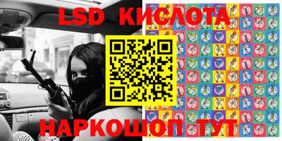 гидра Славгород
