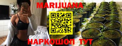гидра Славгород