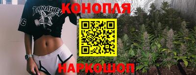 гидра Славгород