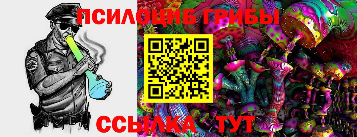 Псилоцибиновые грибы прущие грибы  Галлюциногенные грибы GOLDEN TEACHER  купить закладку  Новошахтинск  Вход с VPN 